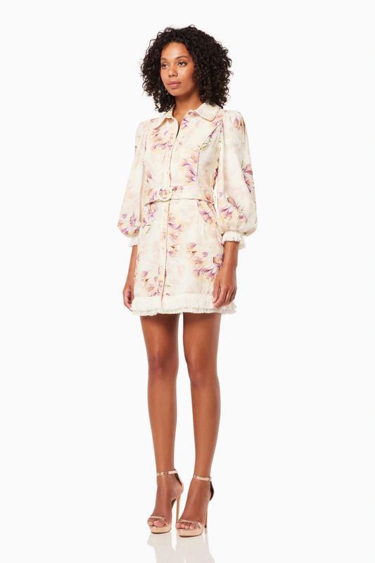 AGENCY DRESS