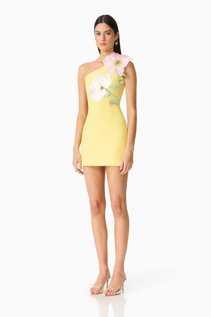 HOPE MINI DRESS