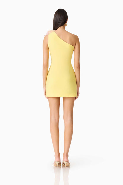 HOPE MINI DRESS
