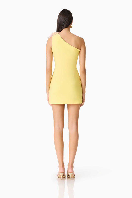 HOPE MINI DRESS
