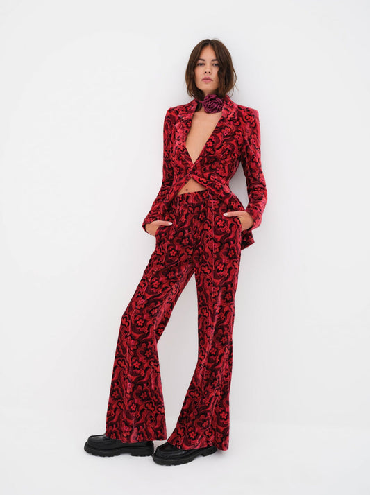 PENNY PANT